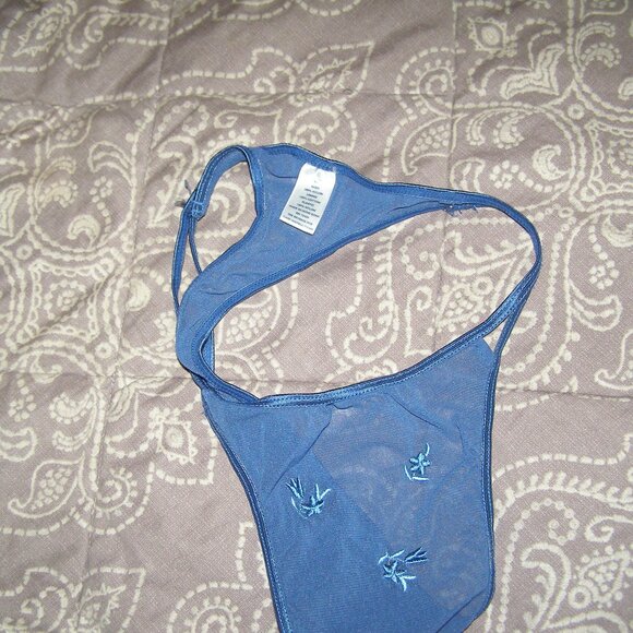 NWOT size Small Stretchy Sheer Thong Cute Blue Floral Embroidery - Picture 4 of 8